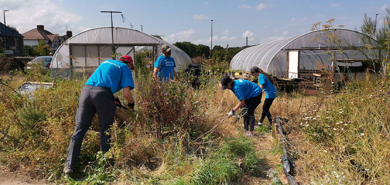 Waterforce volunteers clearing an allotment