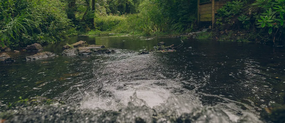 Stream At Otterhead Lakes, water overflowing rocks